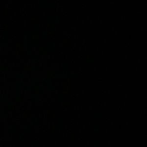 Meet your Posher, Gabriel